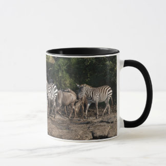 Zebra Herd in Natural Setting Black Interior Gift Tasse