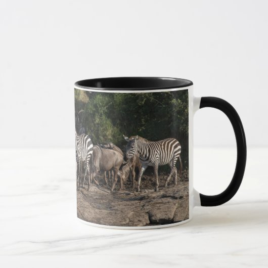 Zebra Herd in Natural Setting Black Interior Gift Tasse (Rechts)