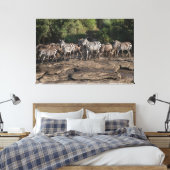 Zebra Herd Natural African Setting Metal Print Leinwanddruck (Insitu (Schlafzimmer))