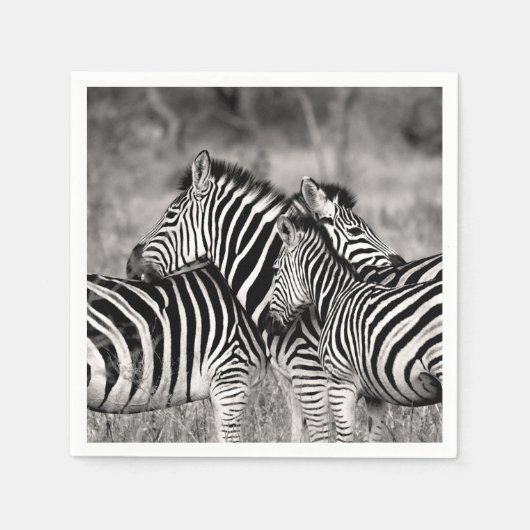 Zebra Herd Nature Safari Schwarz-Weiß Streifen Serviette (Vorderseite)