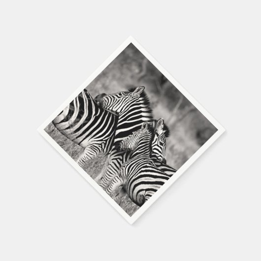 Zebra Herd Nature Safari Schwarz-Weiß Streifen Serviette (Ecke)
