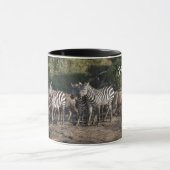 Zebra Herd Personalize Name Black Interior Geschen Tasse (Zentrum)