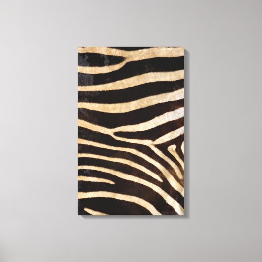 Zebra Hide 2 Leinwanddruck (Vorderseite)