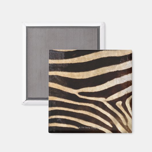 Zebra Hide 2 Magnet (Vorderseite/Rückseite)