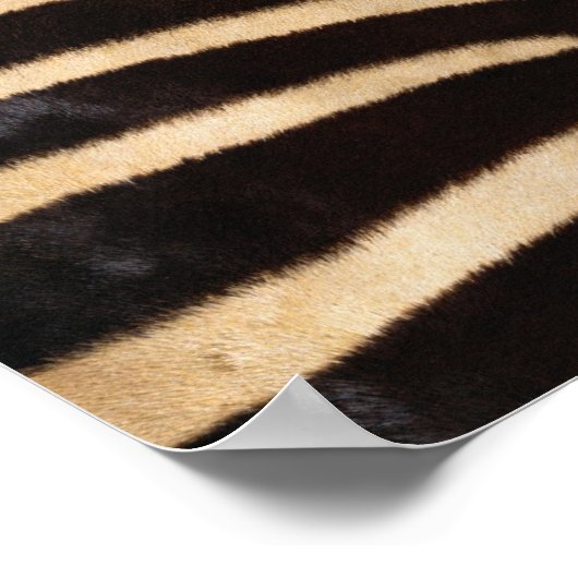 Zebra Hide 2 Poster (Ecke)