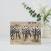 Zebra-Hindus Postkarte (Stehend Vorderseite)