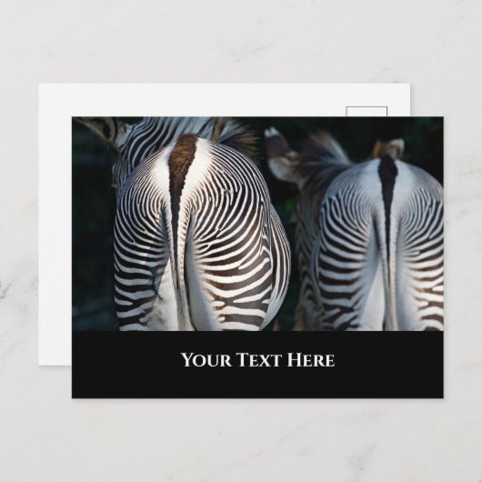 Zebra Hinterns Funny Wildlife Postkarte (Vorne/Hinten)