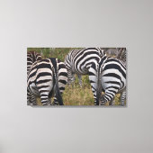 Zebra Hinterns Leinwand Print (Vorderseite)