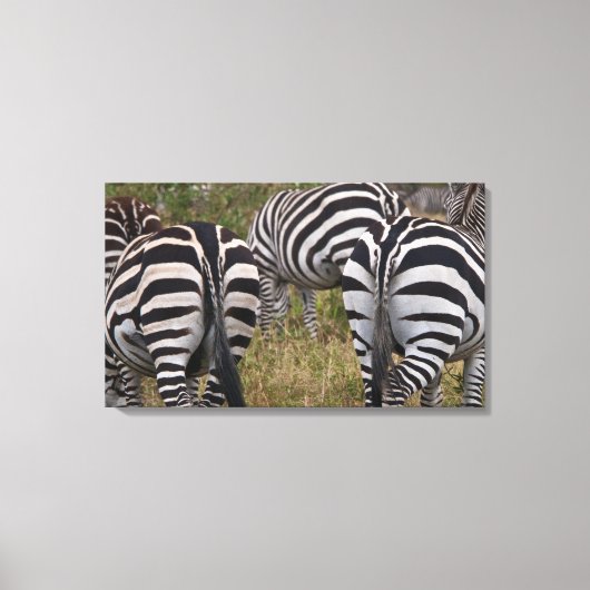 Zebra Hinterns Leinwand Print (Vorderseite)