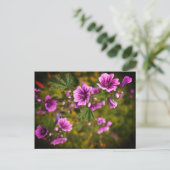 Zebra Hollyhock Blume #2 Postcard Postkarte (Stehend Vorderseite)