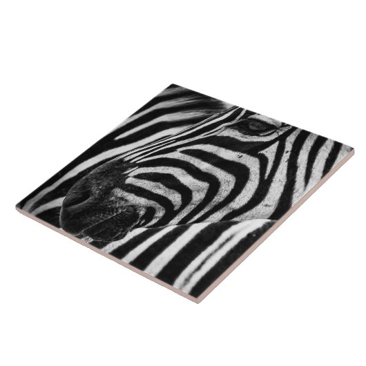 Zebra Illusion Fliese (Seite)