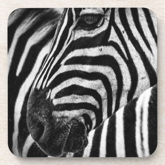 Zebra Illusion Getränkeuntersetzer (Vorderseite)