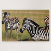 Zebra im Gras Puzzle (Horizontal)