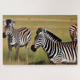 Zebra im Gras Puzzle