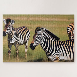 Zebra im Gras Puzzle