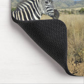Zebra im offenen schlichten Nationalpark Pilansber Mousepad (Ecke)