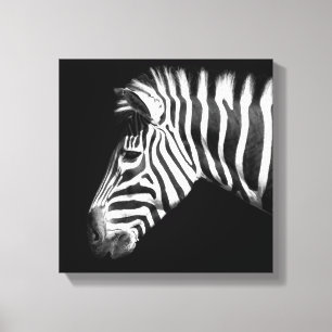 Zebra im Schwarz-Weiß-Foto Leinwanddruck