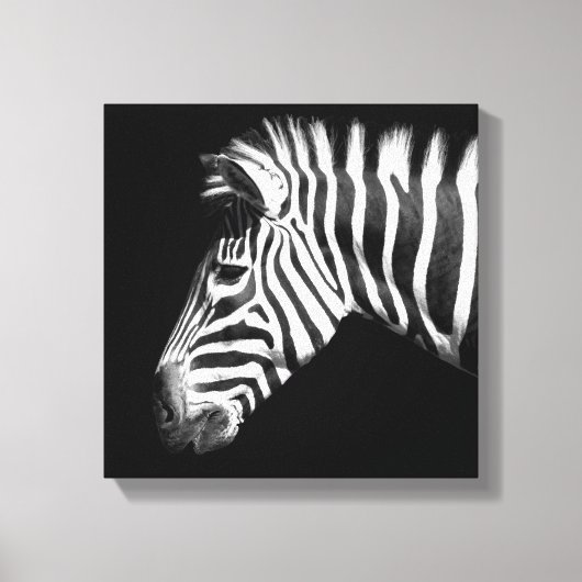 Zebra im Schwarz-Weiß-Foto Leinwanddruck (Vorderseite)