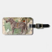 Zebra in Afrika Gepäckanhänger (Vorderseite horizontal)
