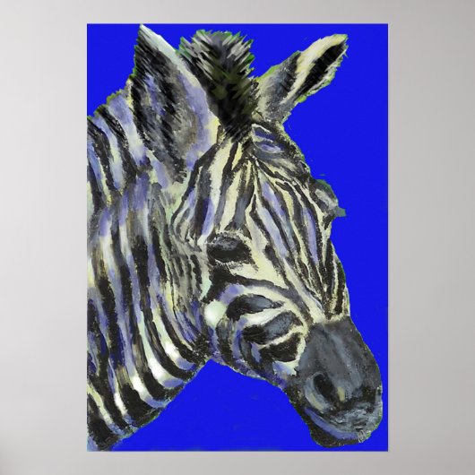 Zebra in blau - Poster (Vorne)