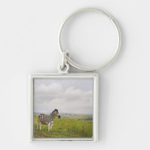 Zebra in der Landschaft, Südafrika Schlüsselanhänger