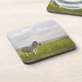 Zebra in der Landschaft, Südafrika Untersetzer (Linke Seite)