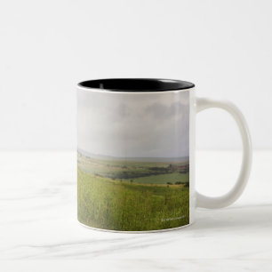 Zebra in der Landschaft, Südafrika Zweifarbige Tasse