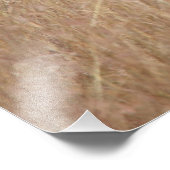 Zebra in hohem Gras Fotodruck (Ecke)