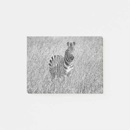 Zebra in hohem Gras Post-it Klebezettel (Vorderseite)