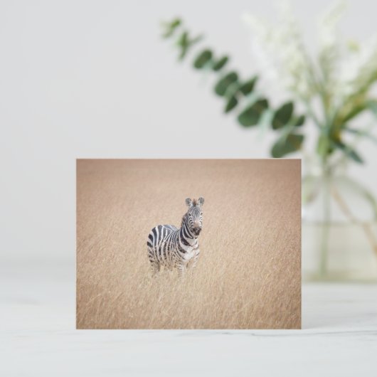Zebra in hohem Gras Postkarte (Stehend Vorderseite)