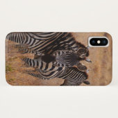 Zebra in Kenia Case-Mate iPhone Hülle (Rückseite (Horizontal))