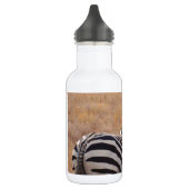 Zebra in Kenia Edelstahlflasche (Links)