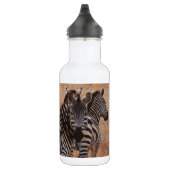 Zebra in Kenia Edelstahlflasche (Rechts)