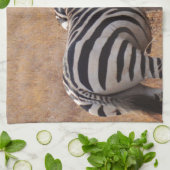 Zebra in Kenia Handtuch (Gefaltet)