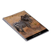 Zebra in Kenia Notizblock (Rechte Seite)