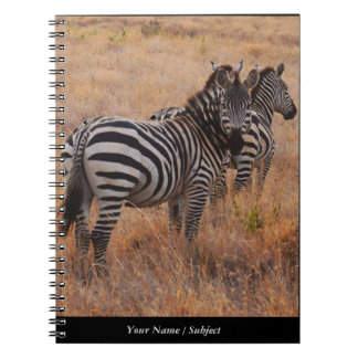 Zebra in Kenia Notizblock