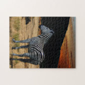Zebra in Kenia. Puzzle (Horizontal)