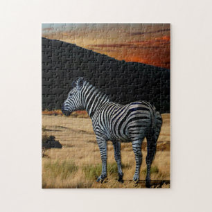 Zebra in Kenia. Puzzle