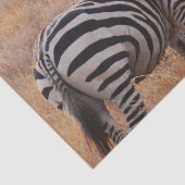 Zebra in Kenia Seidenpapier (Ausschnitt)