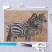 Zebra in Kenia Seidenpapier (Handwerk)
