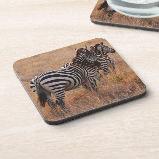 Zebra in Kenia Untersetzer (Linke Seite)