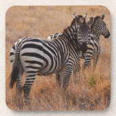 Zebra in Kenia Untersetzer (Vorderseite)