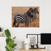 Zebra in Kenya Poster (Heimbüro)