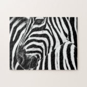 Zebra in Schwarz und Weiß, Jigsaw Puzzle (Horizontal)