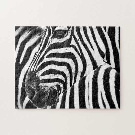 Zebra in Schwarz und Weiß, Jigsaw Puzzle (Horizontal)