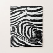 Zebra in Schwarz und Weiß, Jigsaw Puzzle (Vertikal)