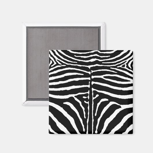 Zebra in Schwarz und Weiß Magnet (Vorderseite/Rückseite)