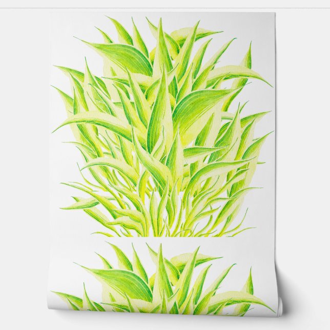 Zebra-Iris auf einer  Tapete (Abrollen)