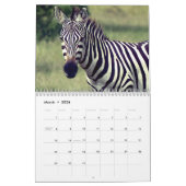 Zebra Kalender (Mär 2026)