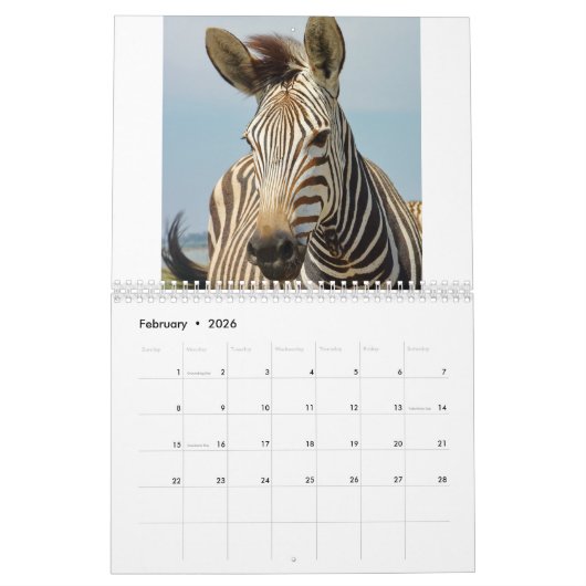Zebra Kalender (Feb 2026)